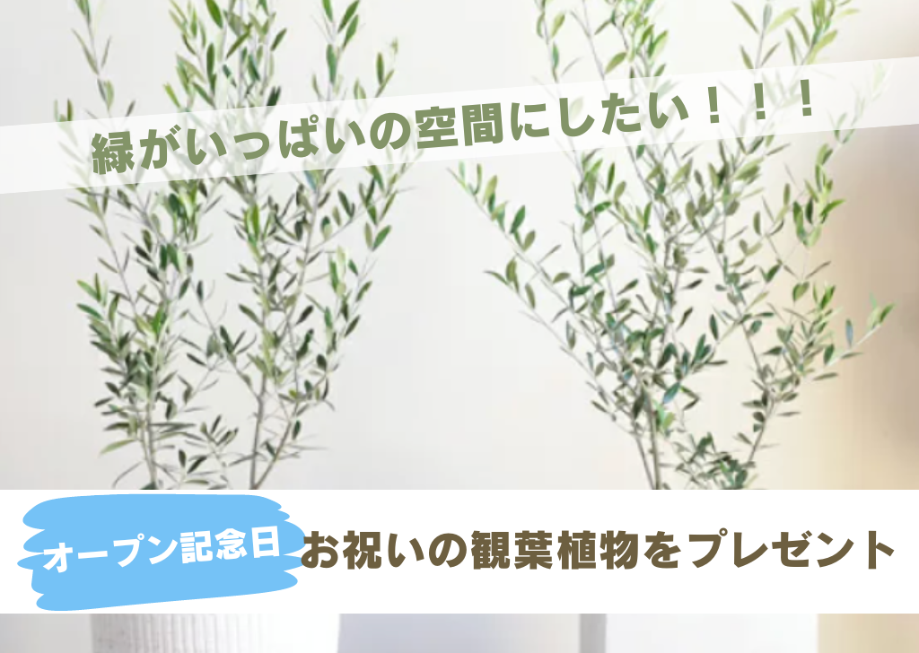 【ネクストゴール1000万円挑戦中】毎日頑張るあなたに向けて。自分を大切に出来る空間、”整うカフェ”を作りたい!