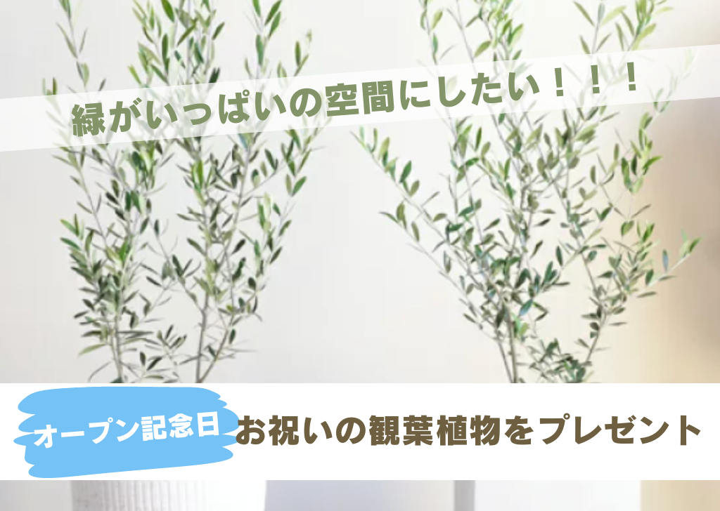 【ネクストゴール1000万円挑戦中】毎日頑張るあなたに向けて。自分を大切に出来る空間、”整うカフェ”を作りたい！